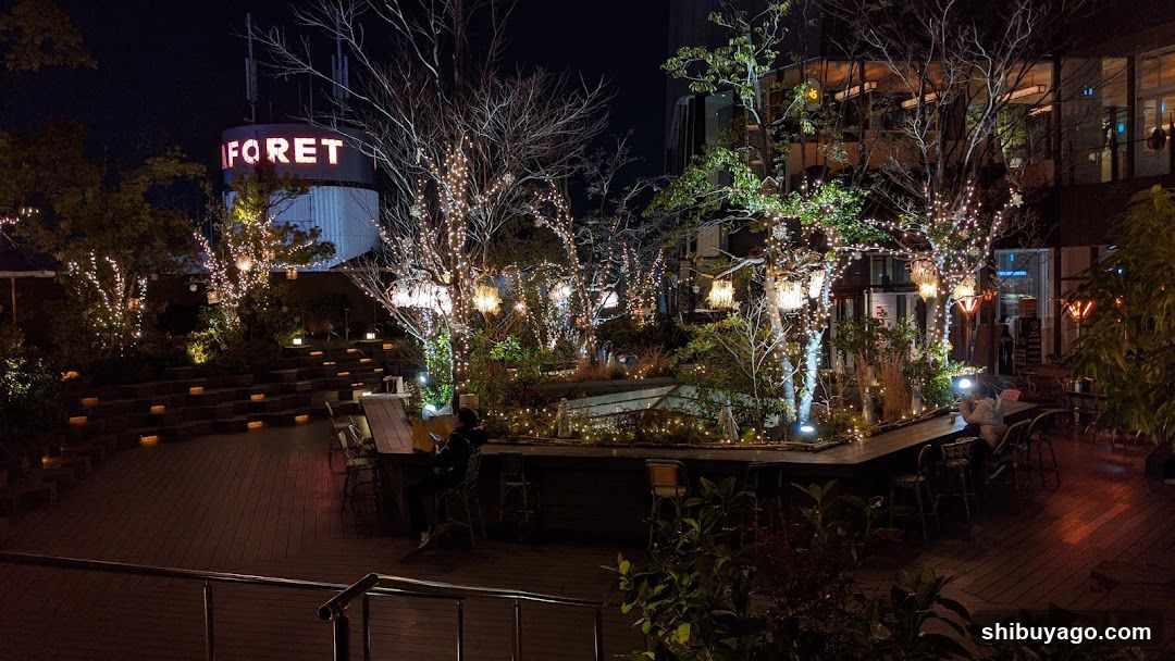 Night Rooftop Garden with String Lights