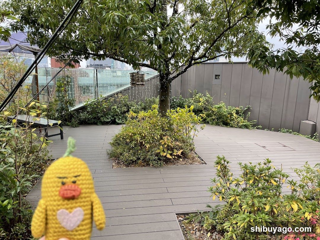 Rooftop Garden with Crocheted Figure