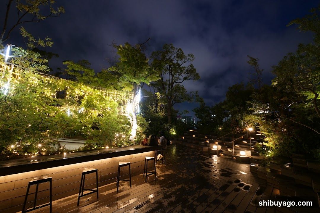 Night Rooftop Bar Scene