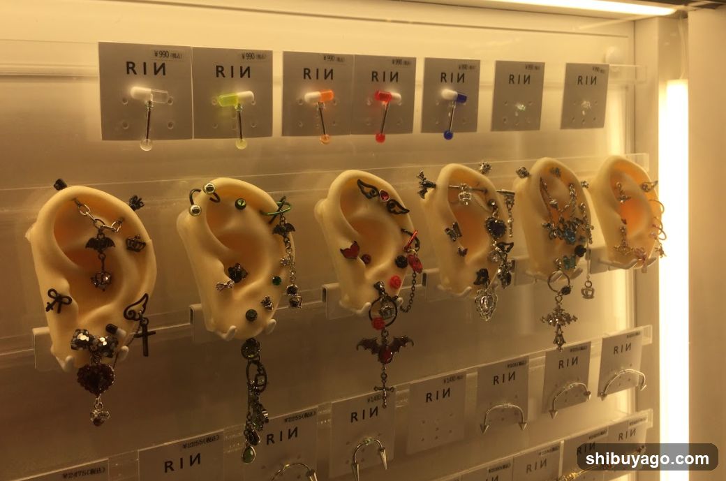 Earring Display Case