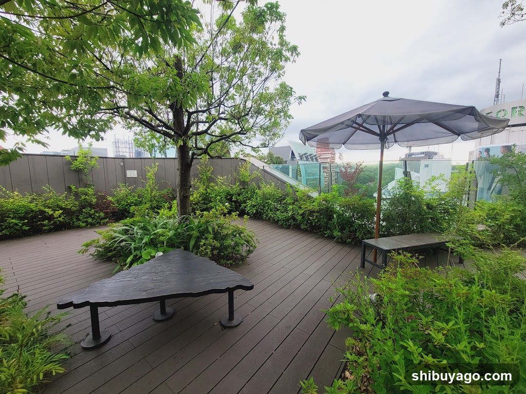 Rooftop Garden Terrace