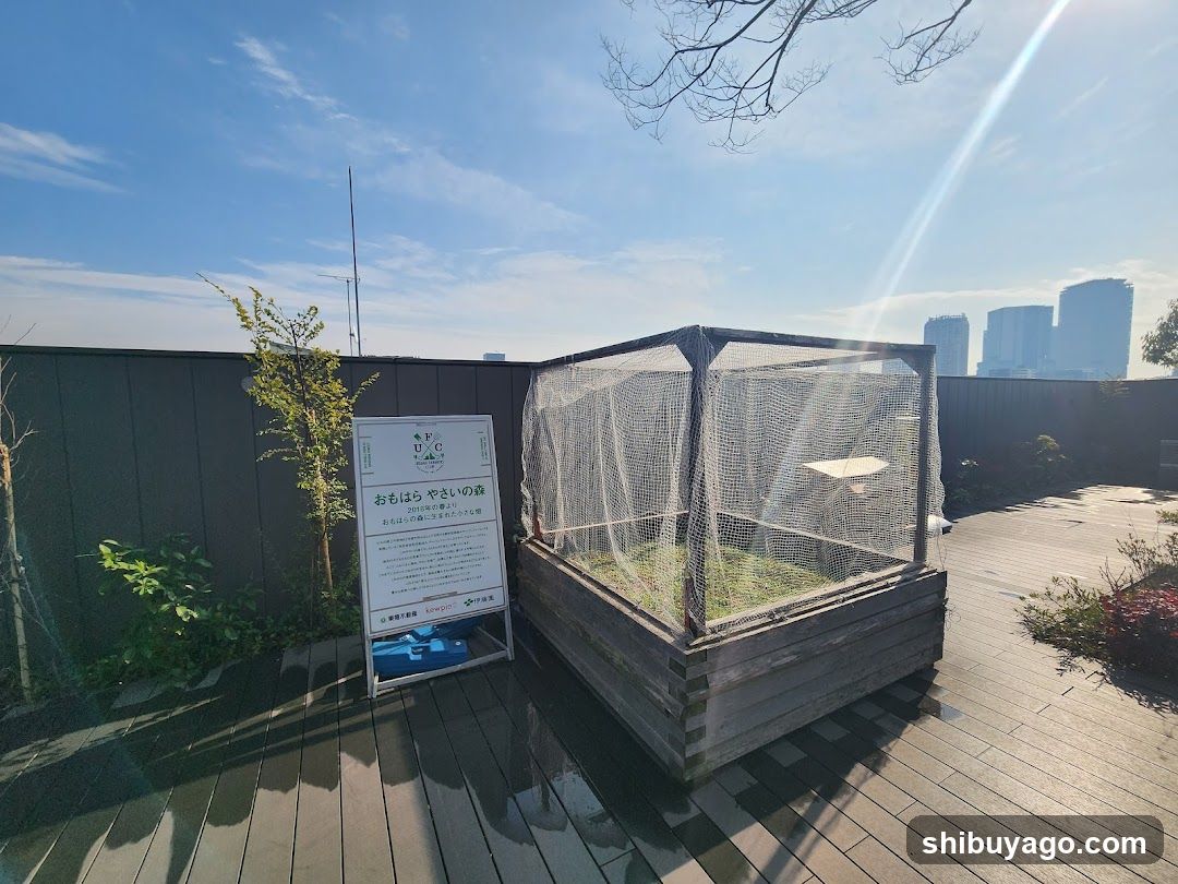 Rooftop Garden with Enclosed Planter