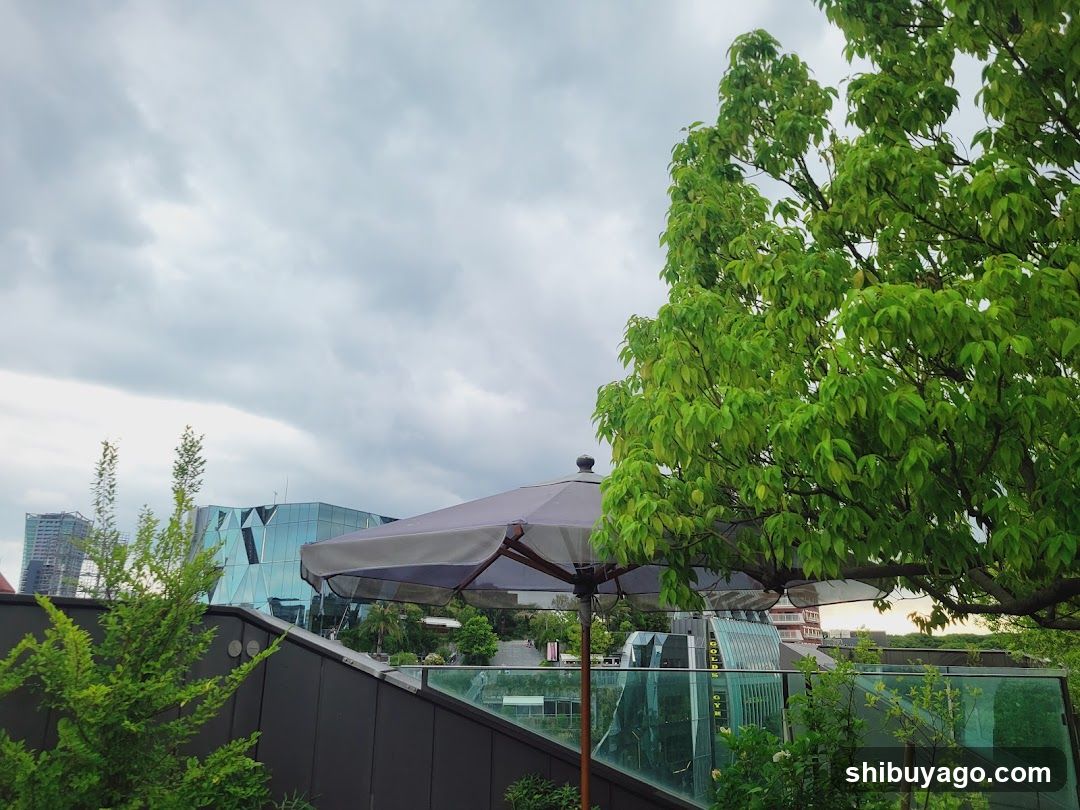Outdoor Patio with Umbrella and Greenery