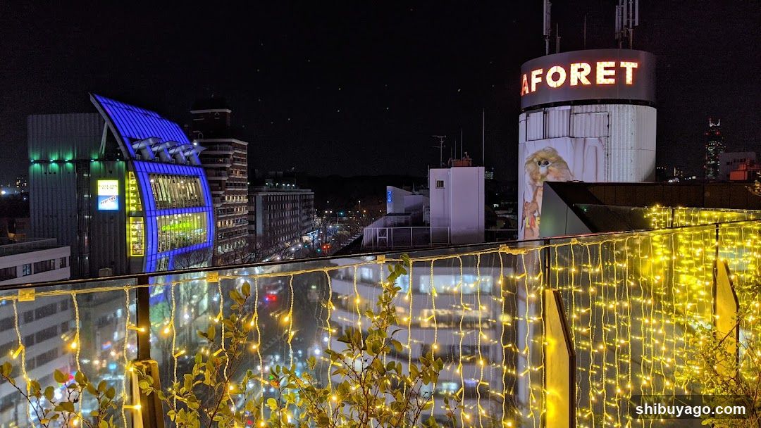 Night City View with Decorative Lights