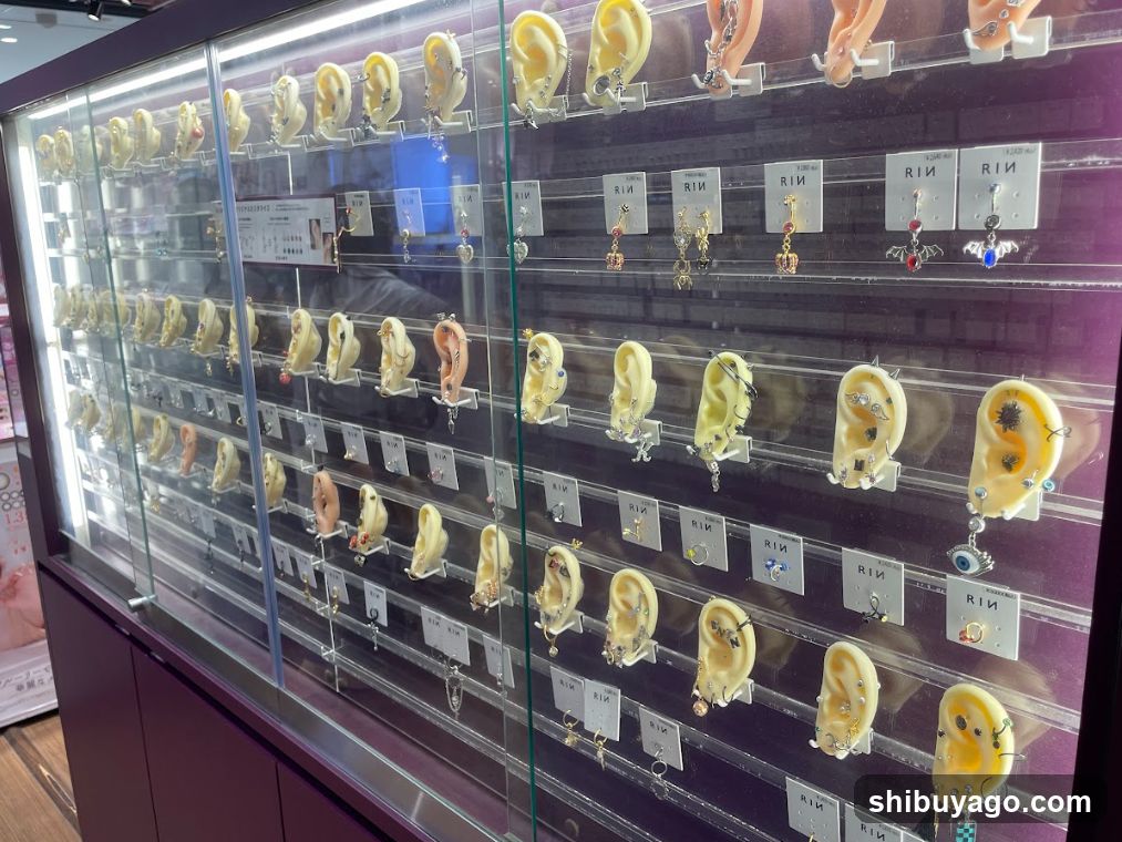 Earring Display Case