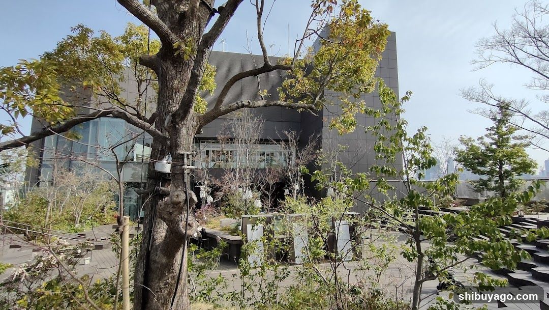 Modern Building Exterior with Trees