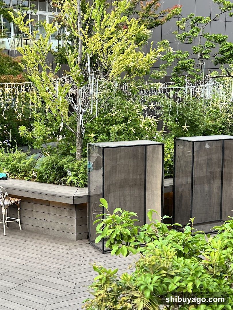 Outdoor Garden Area with Decorative Lighting