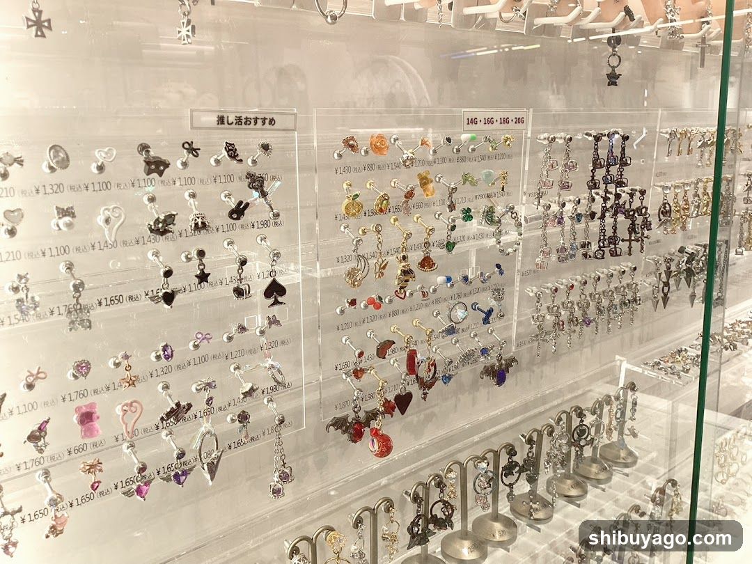 Earring Display Case