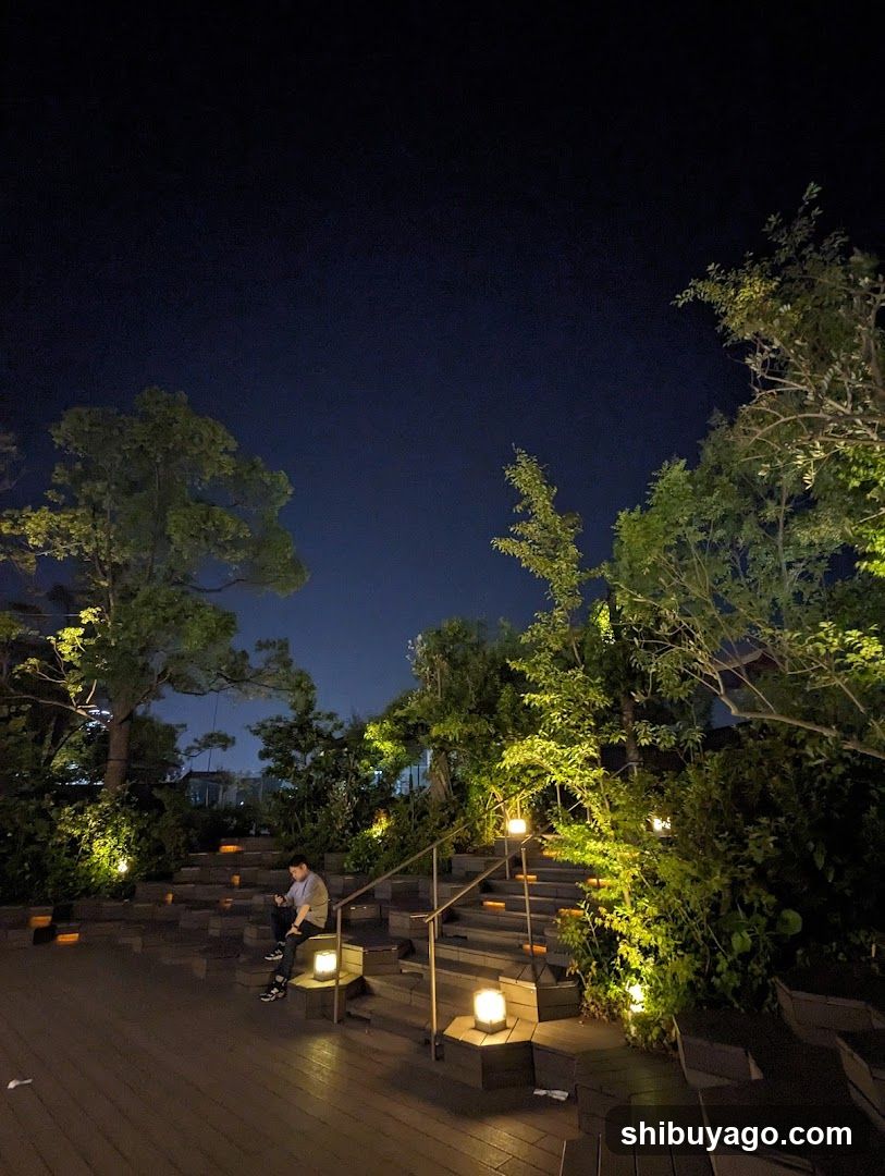 Night Garden Scene