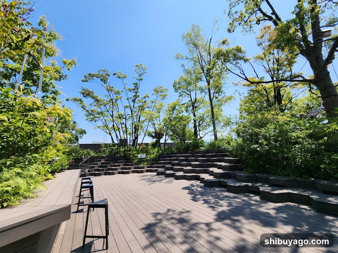 Outdoor Deck with Stairs and Greenery