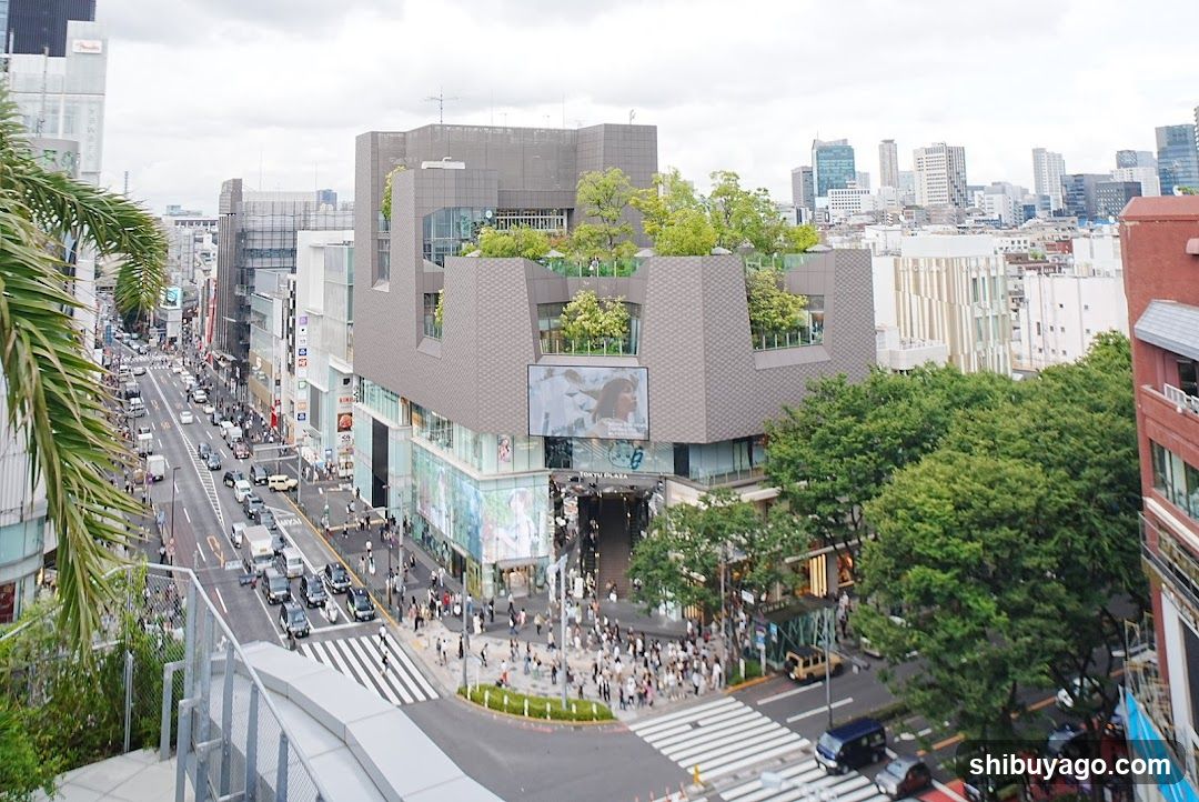 Urban Street Scene with Modern Building