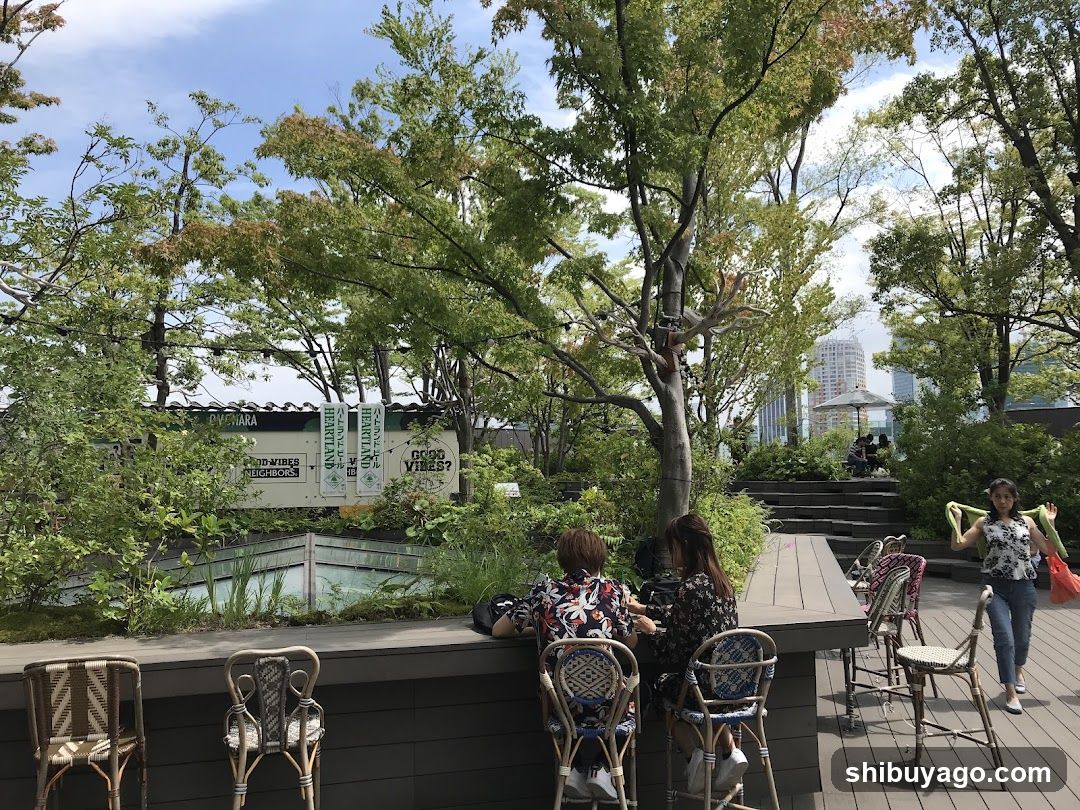 Outdoor seating area with greenery and city view