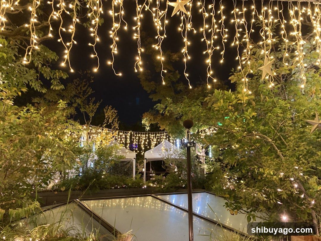 Night Garden Party Setup