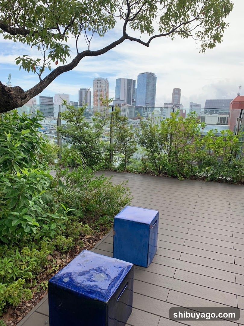 Rooftop Garden View
