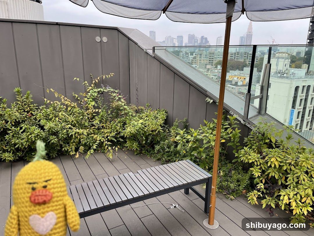 Rooftop Terrace with Crocheted Duck