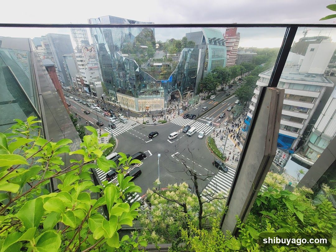 Urban Intersection View from High vantage point
