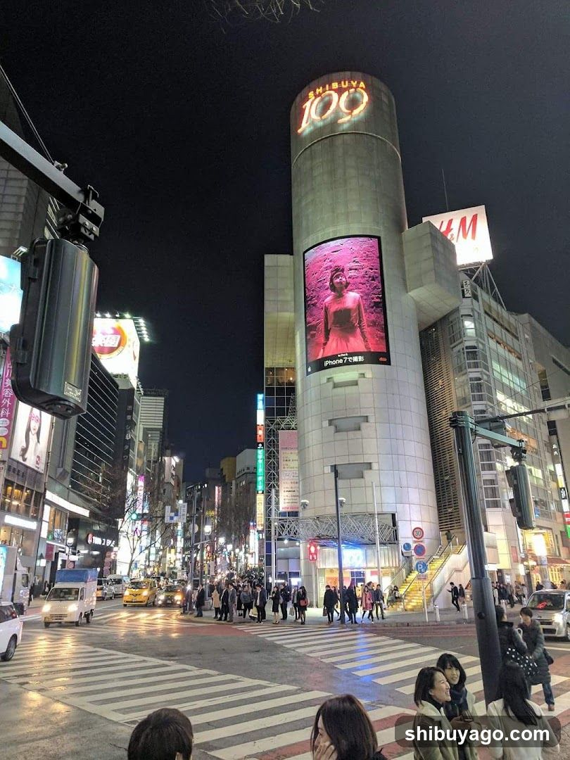 Shibuya Crossing Night View