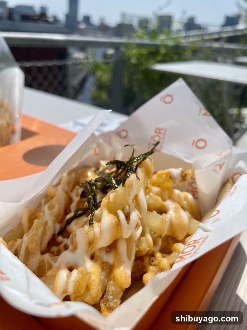 Loaded Fries with Drizzle