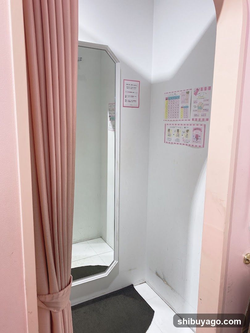 Interior View with Pink Curtains and Posters