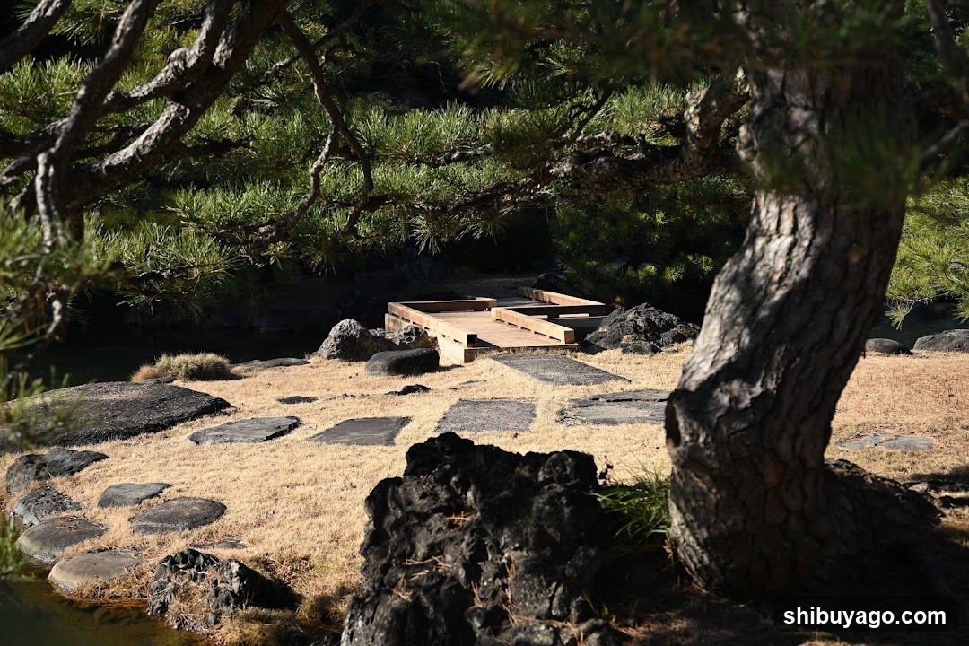 Japanese Garden