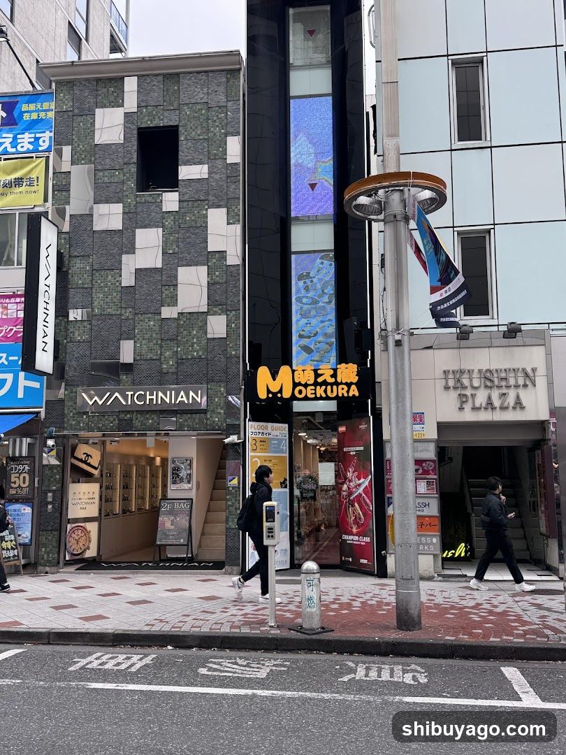 Street View of Shops in Japan