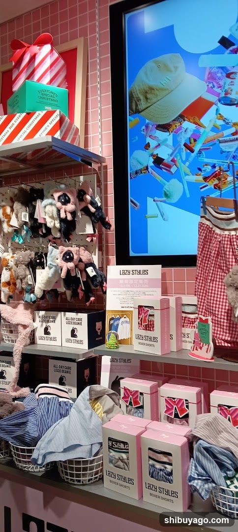 Lazy Styles Store Interior Display