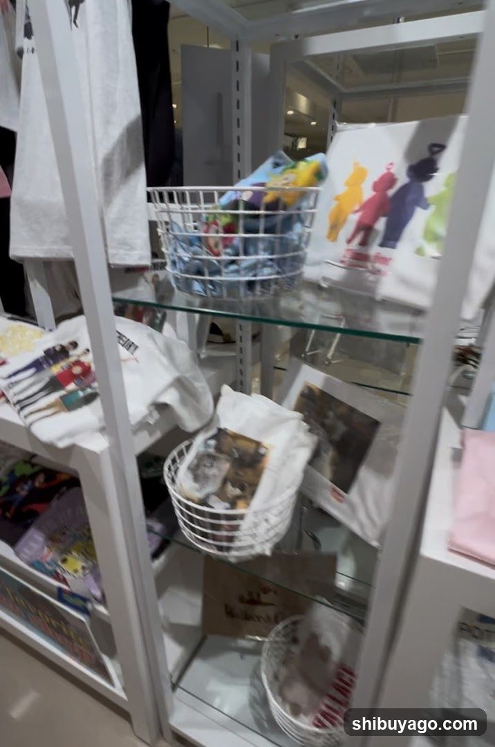 Merchandise Display Shelf