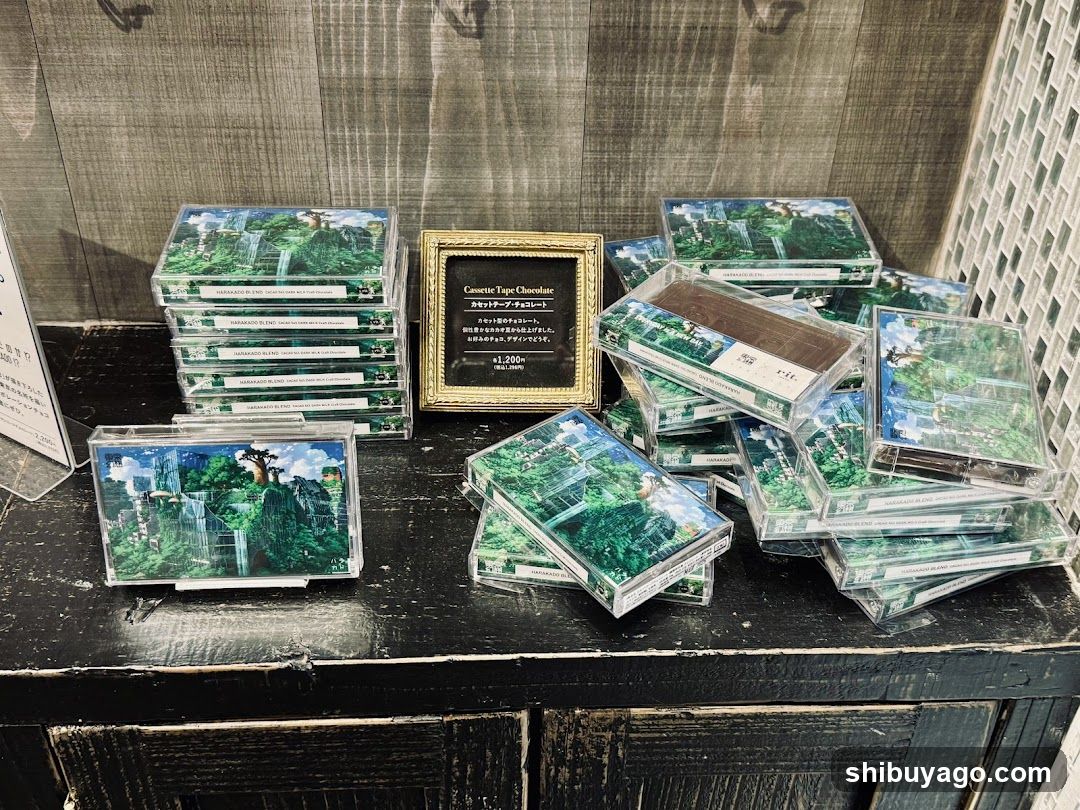 Cassette Tape Display