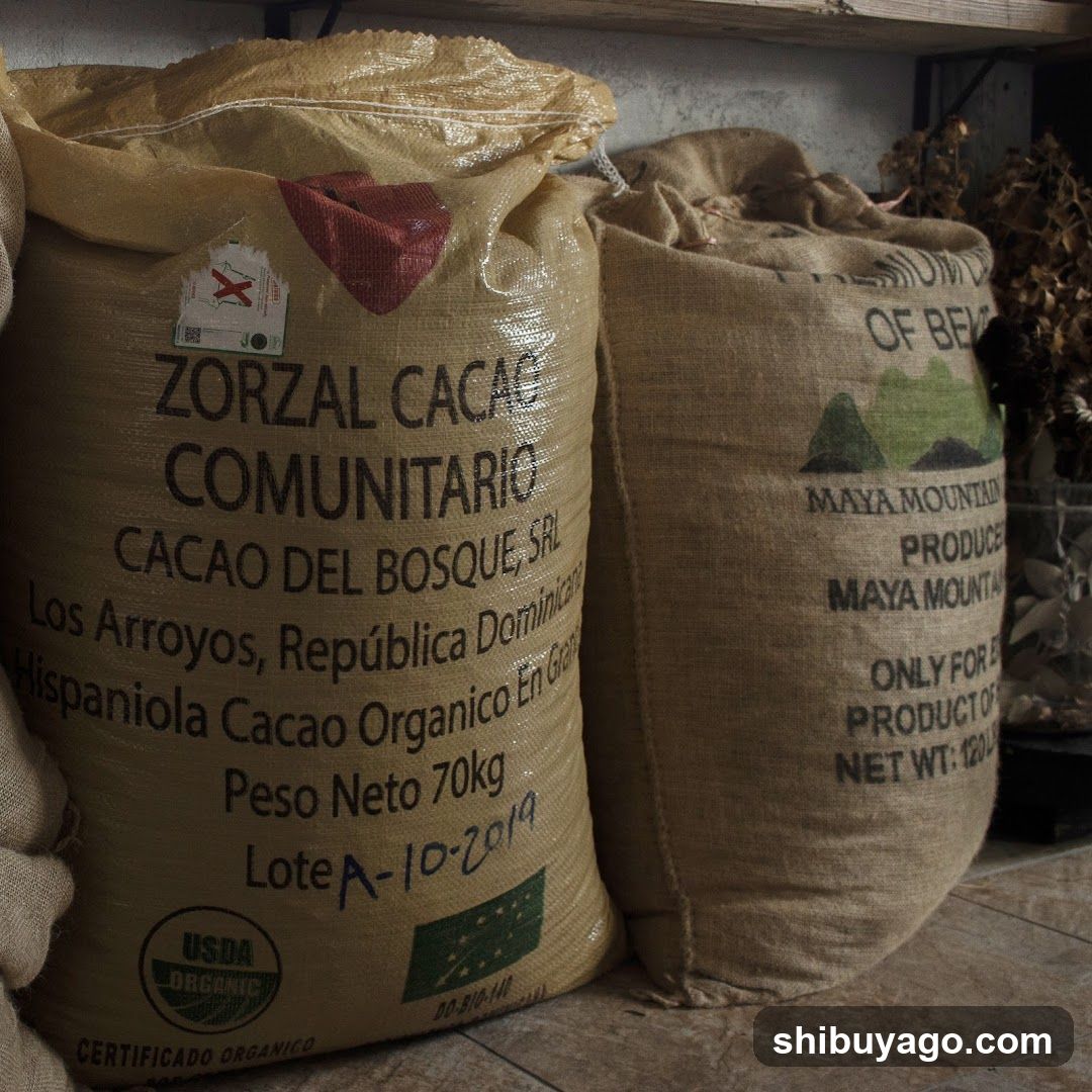 Cacao Sacks in Storage