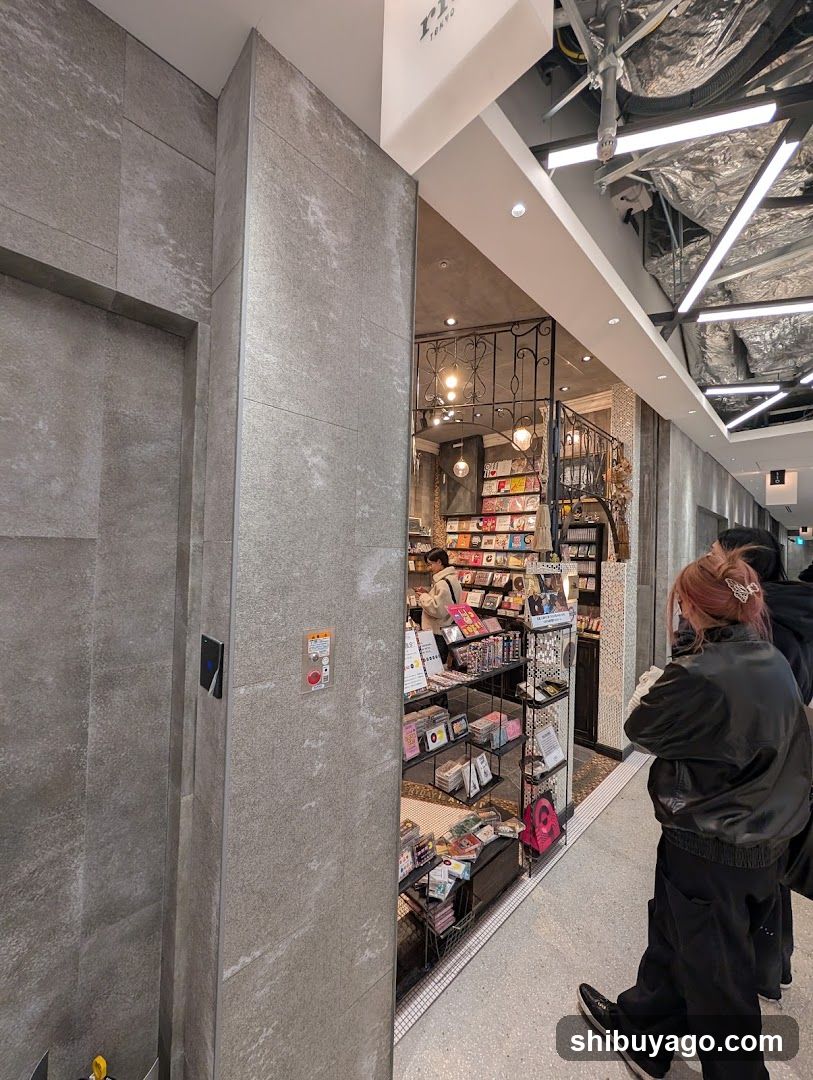 Interior View of a Store with Merchandise Display
