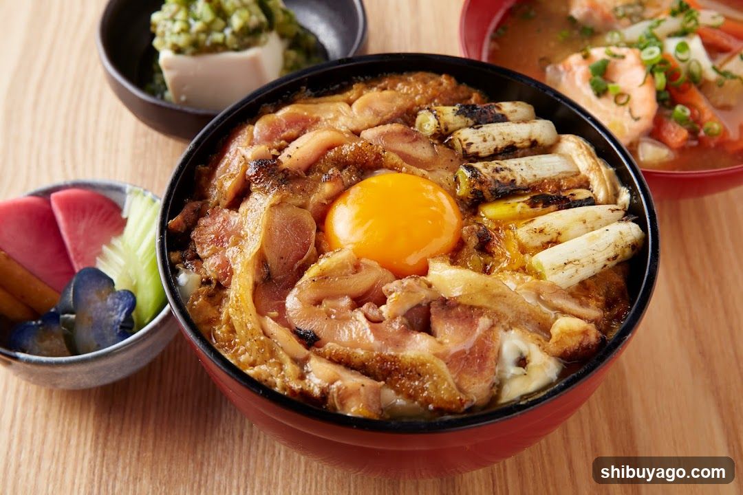 Grilled Meat Rice Bowl with Egg