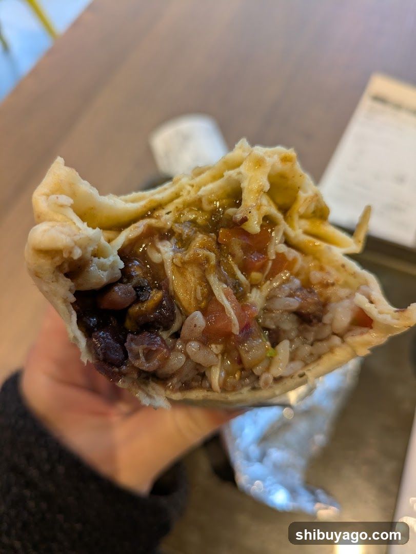 Burrito with Beans and Rice