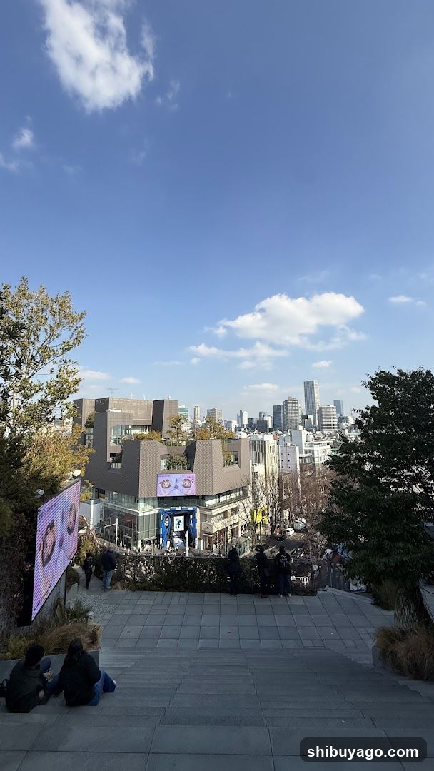 Cityscape View from Steps