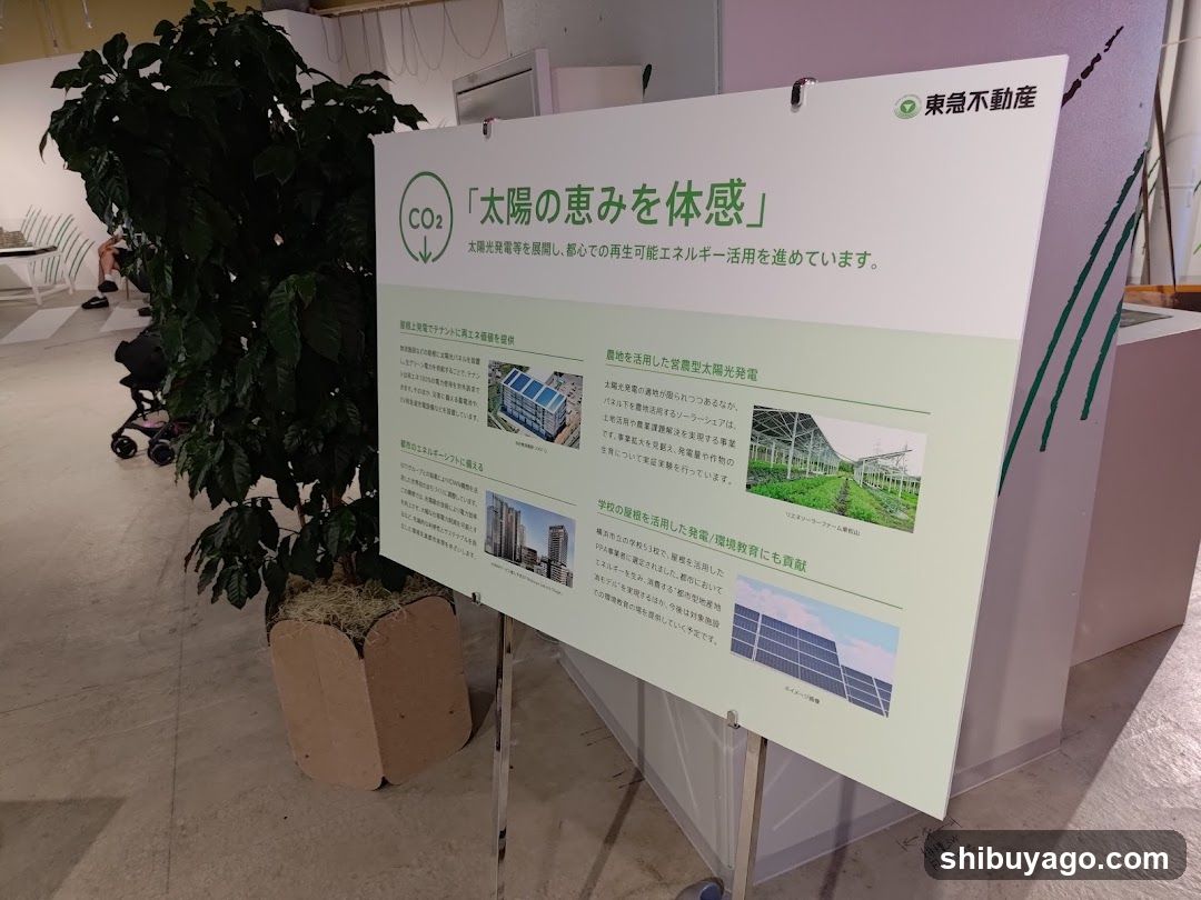 Solar Energy Exhibition Display
