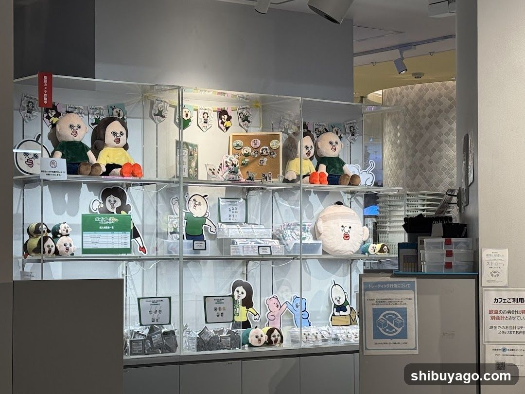 Merchandise Display Shelf