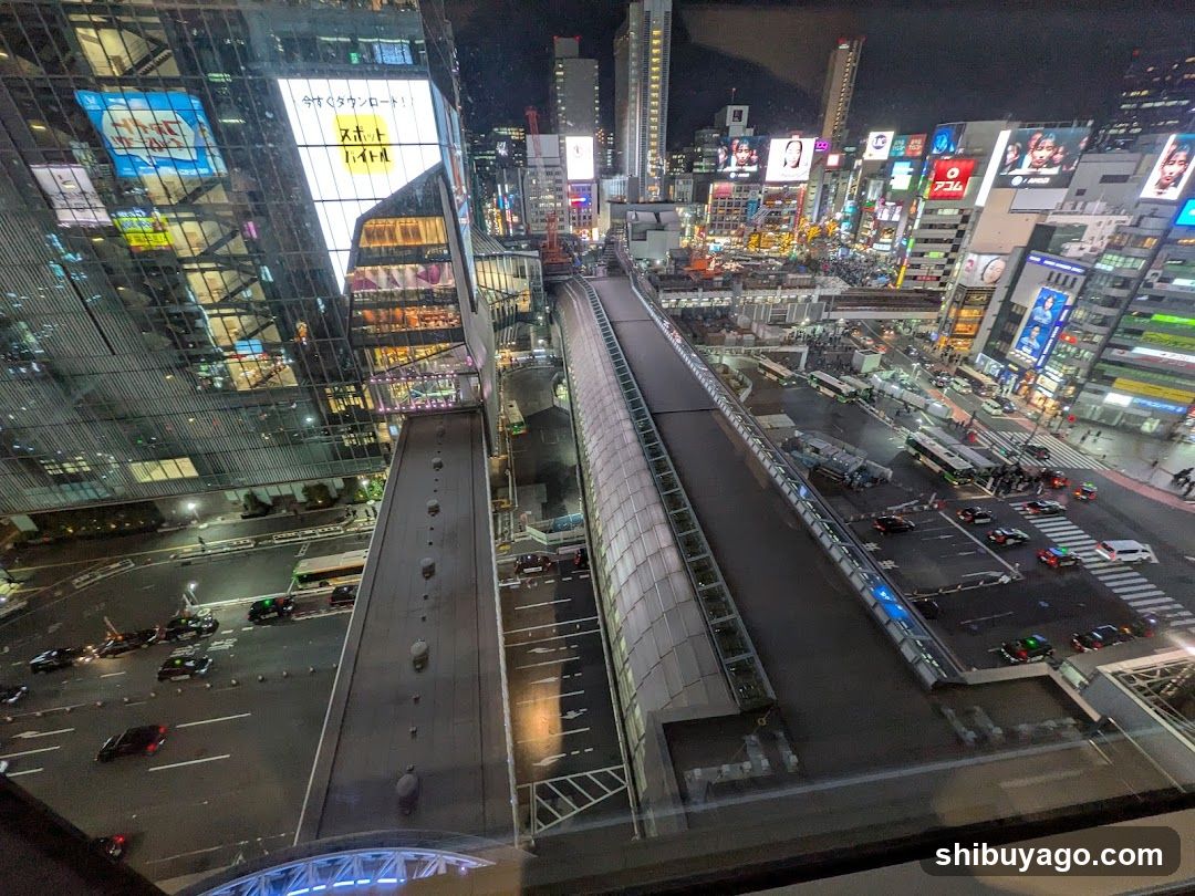Night City View with Elevated Walkway and Traffic