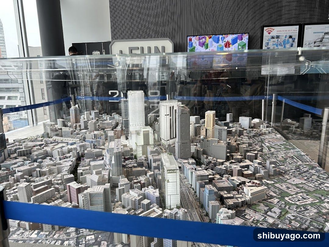 City Model Display