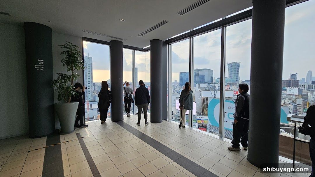 High-rise observation deck with city view