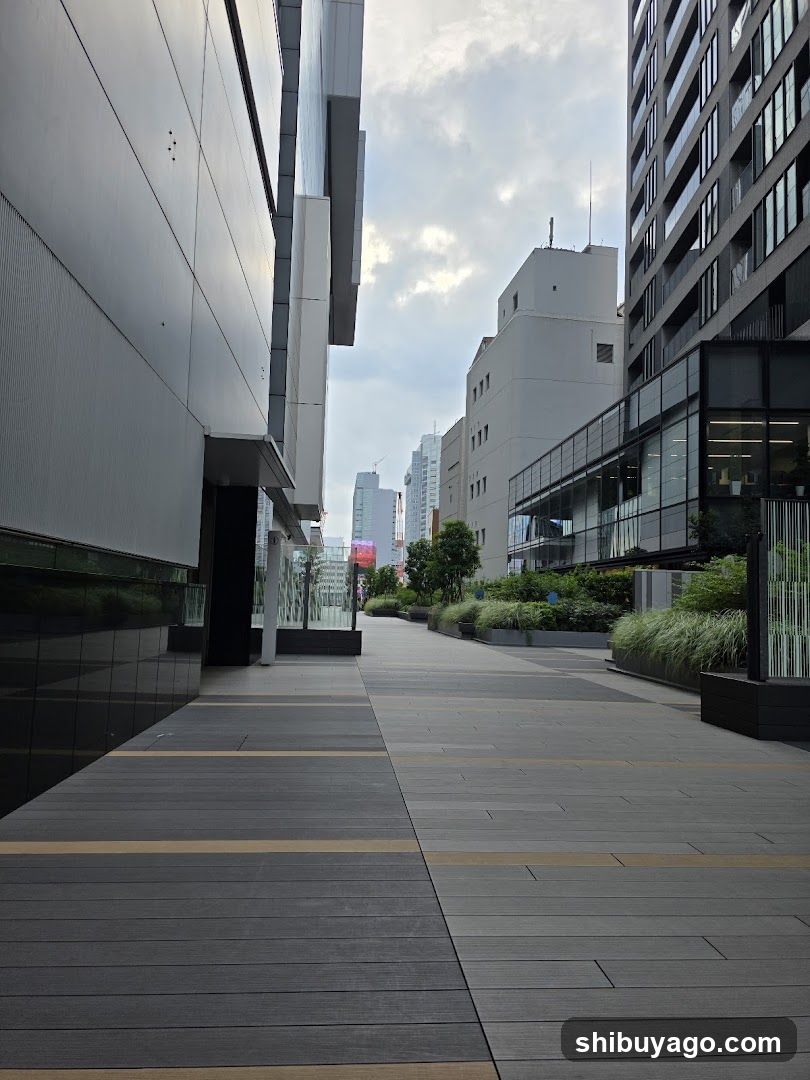 Urban Walkway with Modern Buildings