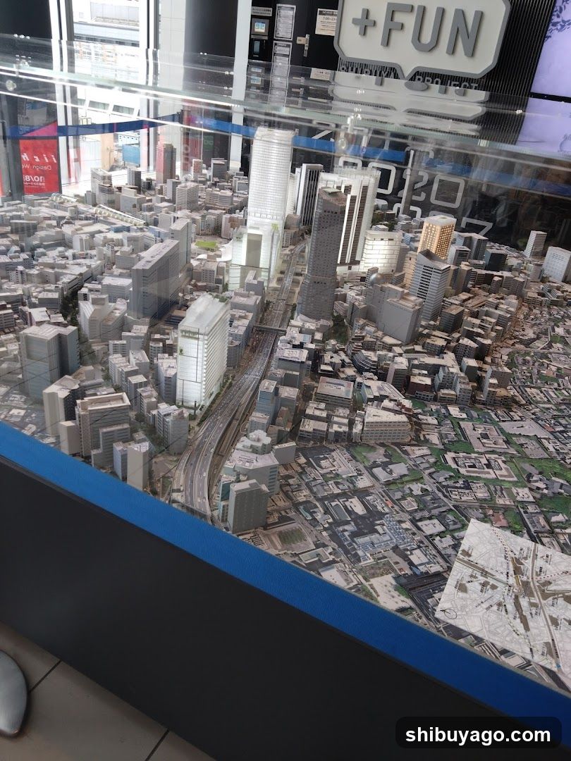 City Model Display