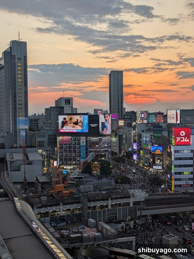 Shibuya Crossing at Sunset