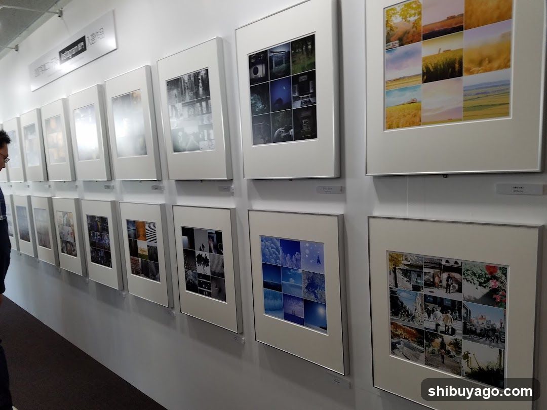 Photo Exhibition Wall Display