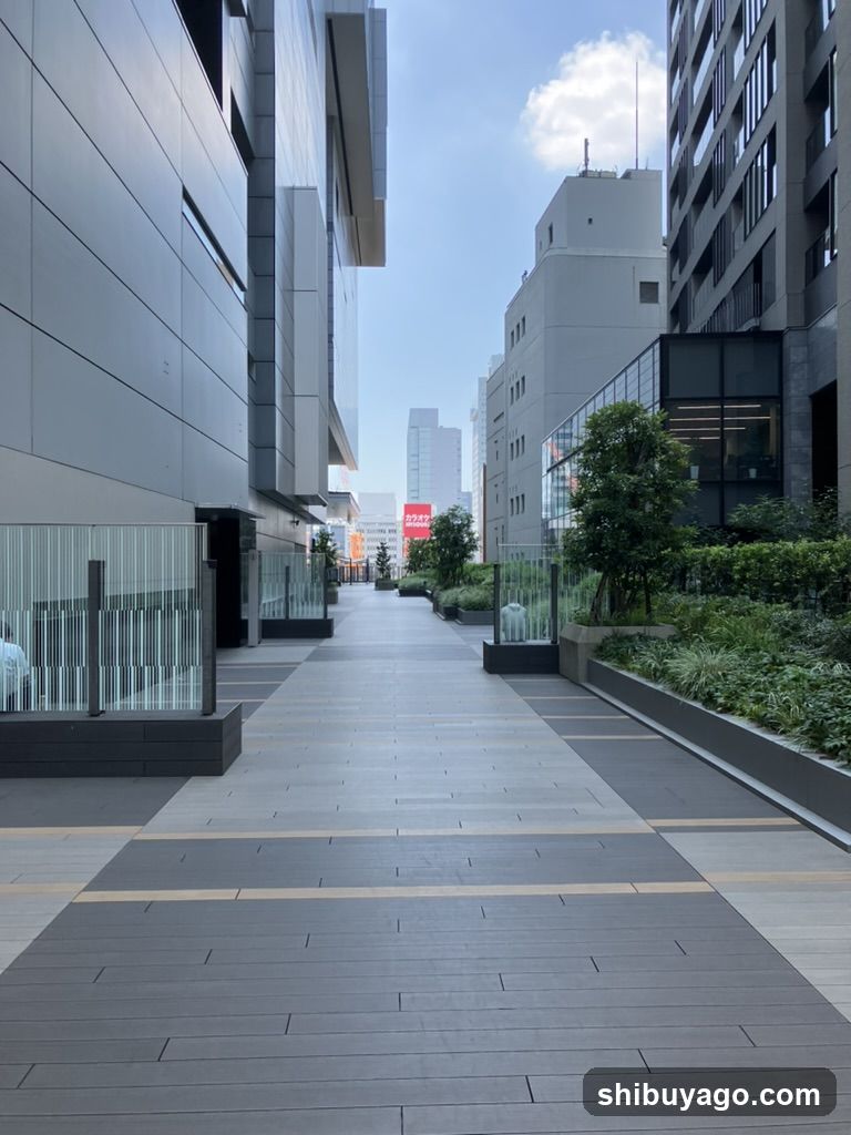 Urban Walkway with Modern Architecture