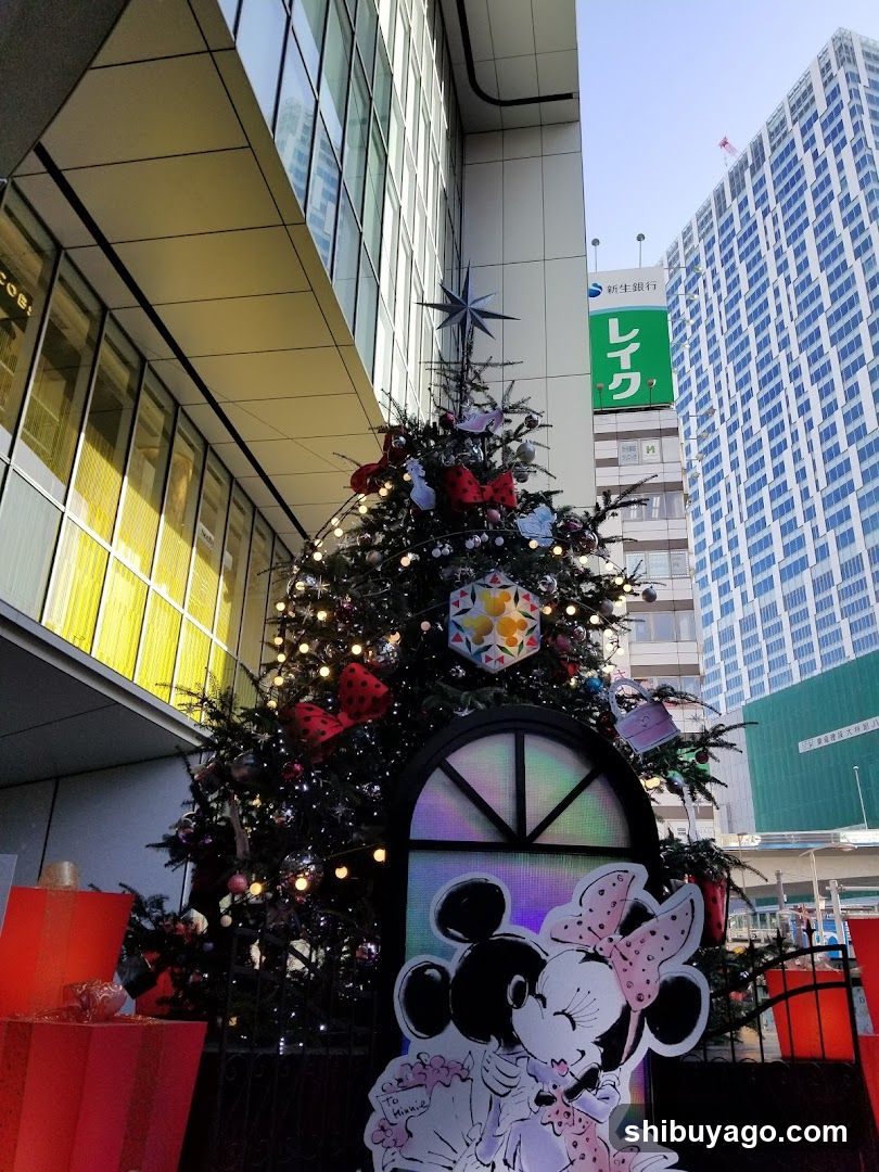 Mickey and Minnie Christmas Display