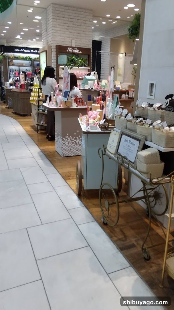 Interior of a retail store with product displays