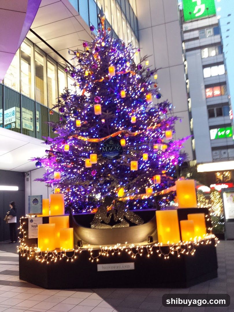 Christmas Tree Display