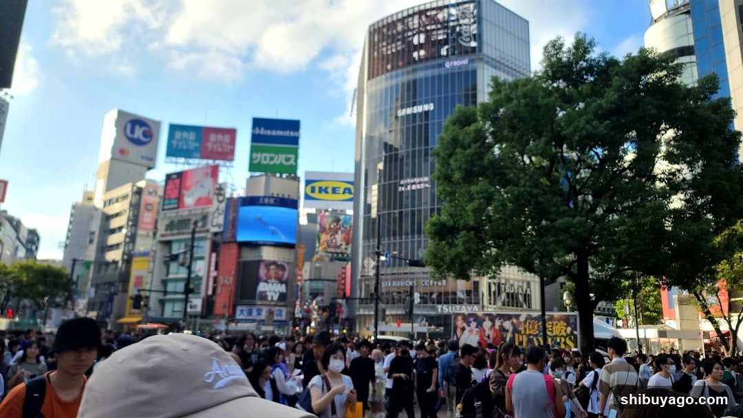 Crowded Urban Street Scene