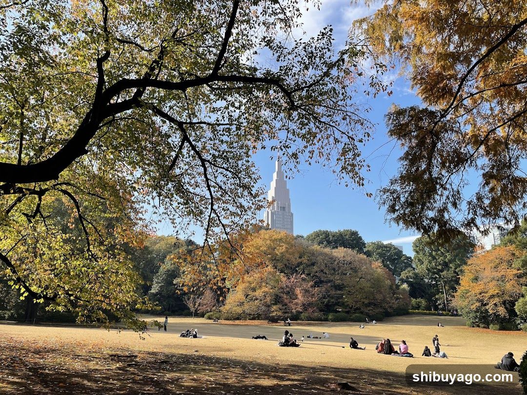 Autumn Park Scene with Tower in Background