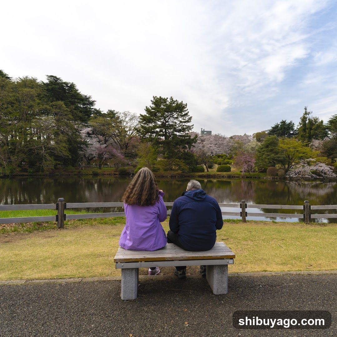 Couple sitting on bench by lake with cherry blossoms