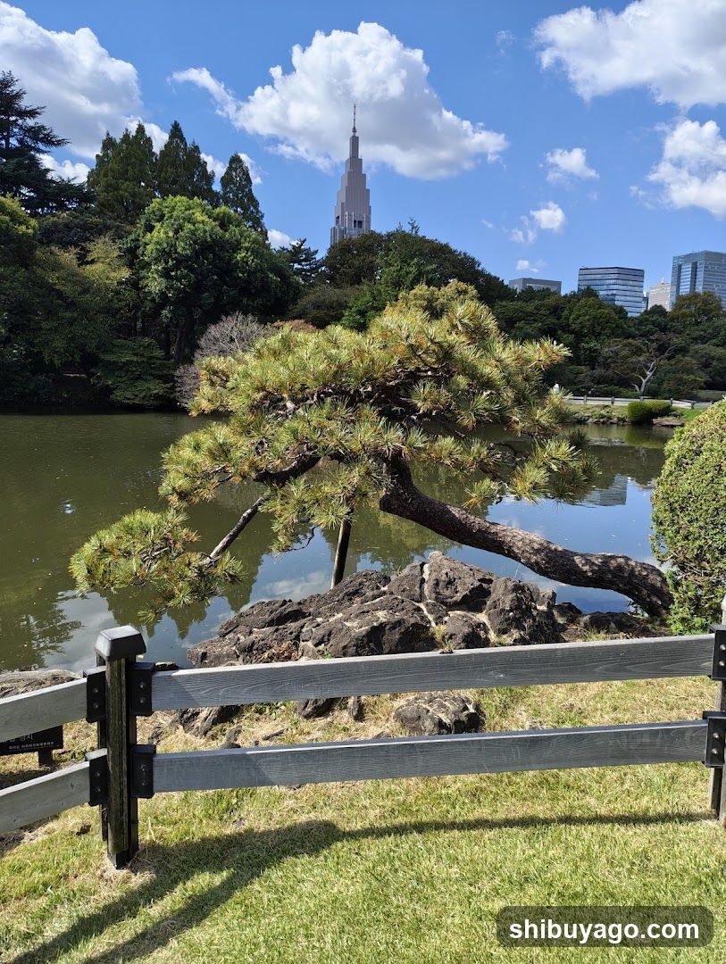 Pine Tree by Pond with Tokyo Skyline